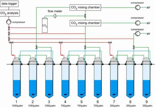 Fig. 2. Sketch of experimental set-up: Green lines indicate supply of air and CO 2 -enriched air into the headspace (continuously aerated throughout the experiment); blue lines show the corresponding supply into the water column (aeration of the water colu
