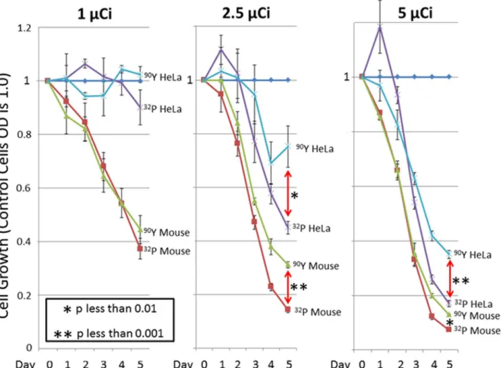 Fig 5 depicts a proposed mechanism for 32 P-induced cell killing. In this schematic, 32 P is in- in-corporated directly into one strand of replicating DNA