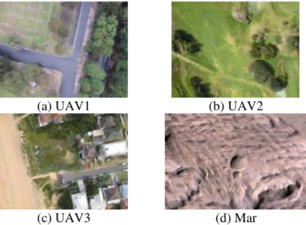 Figure 3. The reference images for simulation 