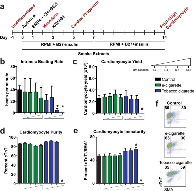 Fig 3. Analysis of e-cigarette and tobacco cigarette on hESC cardiac differentiation. (a) Timeline of differentiation protocol for cardiac directed differentiation of hESCs