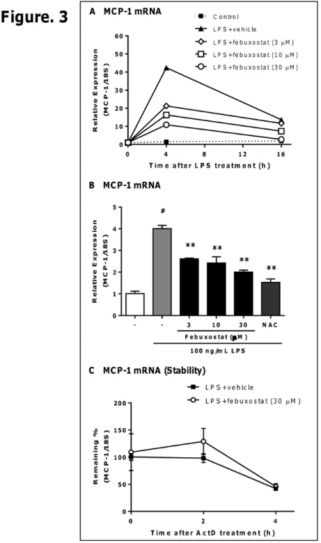 Figure 3.  Febuxostat suppresses LPS-induced MCP-1 mRNA expression without affecting mRNA stability