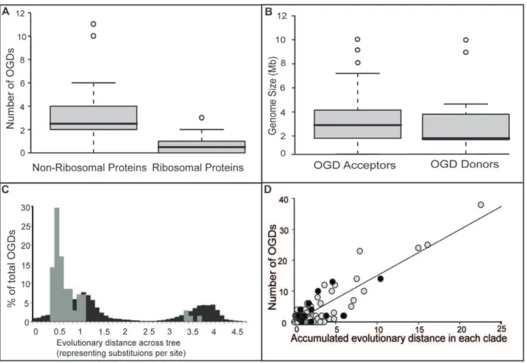 Figure 4. Factors influencing OGDs in single copy genes. A) There is a significant correlation with the biological function of the proteins and their propensity to OGDs (p,0.01 Wilcoxon Mann-Witney test)