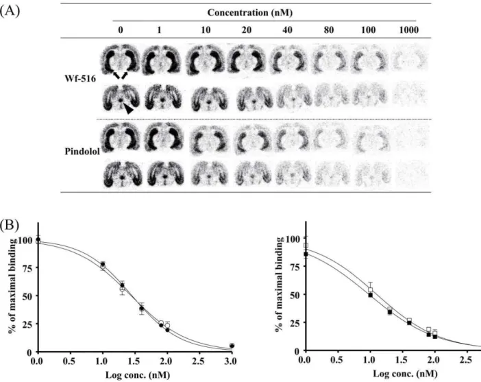 Figure 1. Binding affinities of Wf-516 and pindolol for central 5-HT 1A receptors quantified by in vitro ARG