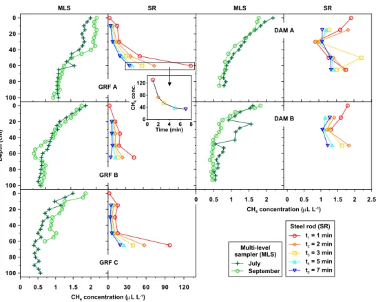 Fig. 1. Soil-CH 4 profiles obtained from the MLS and the SR time-series soil-gas samples