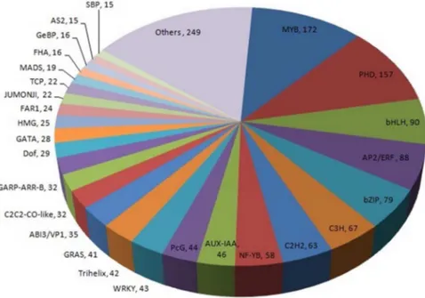 Figure 7. Family distribution of the transcription factors occurring in the curly parsley transcriptome