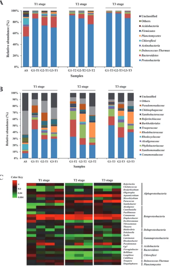 Fig 3. Taxonomic classification of sequences from bacterial communities of the three groups
