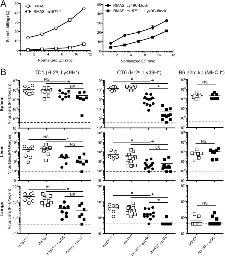 Figure 8. m157 G1F regulates Ly49H-independent NK cell activation. (A) Splenic NK cells were isolated from TC1 mice (H-2 b , Ly49H 2 ) and expanded in IL-2 containing medium