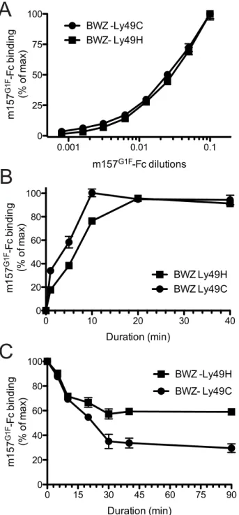 Figure 1. Analysis of m157 G1F binding to Ly49H and Ly49C expressing cells. (A) BWZ-Ly49H and BWZ-Ly49C cells were incubated with increasing concentrations of m157 G1F -Fc for 40 min at 4 u C and binding was measured by flow cytometry