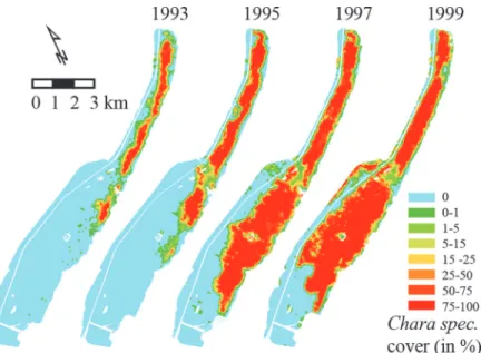Fig 7. Travelling wave-type of spread of aquatic vegetation (Chara spec). Lake Veluwe, the Netherlands, from 1993 to 1999 (from: Monitoring of aquatic vegetation of the IJsselmeer Area by Rijkswaterstaat, an Agency of the Ministry of Infrastructure and the