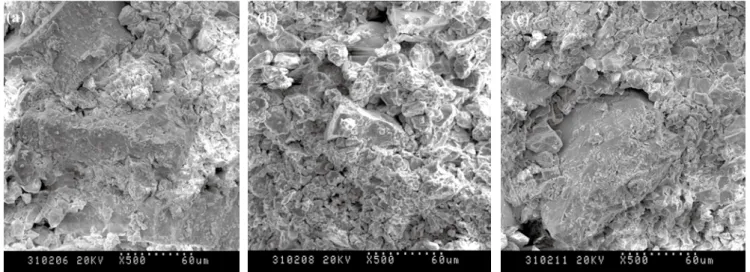 Fig. 4: The green fracture surfaces of ceramic moulds with high polymer: 0 (a);  0.02wt.% (b); 0.04wt.% (c) 