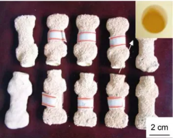 Fig. 6: “I” shaped ceramic moulds with high polymer