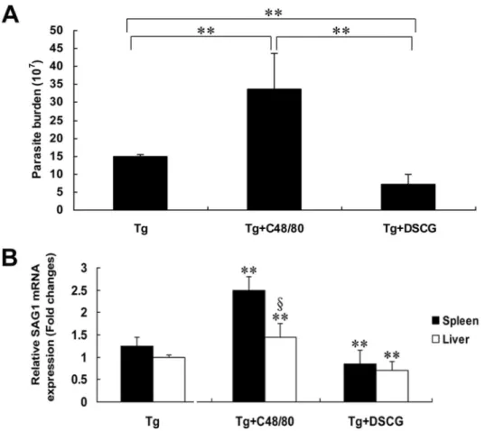 Figure 10.  Parasite burden of T.  gondii RH strain tachyzoites in the peritoneal lavage fluids and tissues.