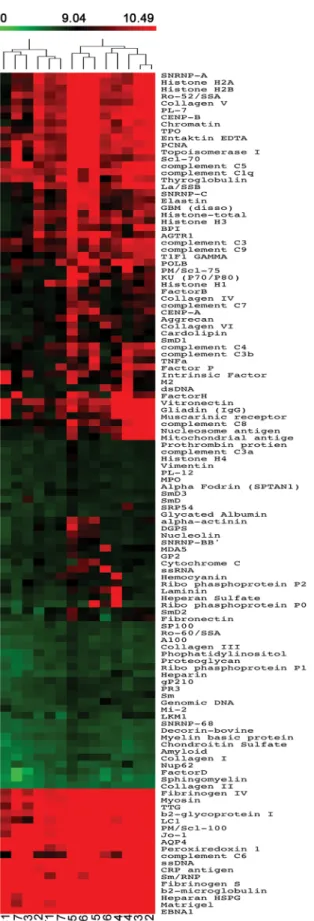 Fig 1. IgG autoantibody profiles. Heatmap of serum IgG autoantibody reactivity in adults thymectomized early in infancy (T) and controls (C) clustered by autoantigen and subject group
