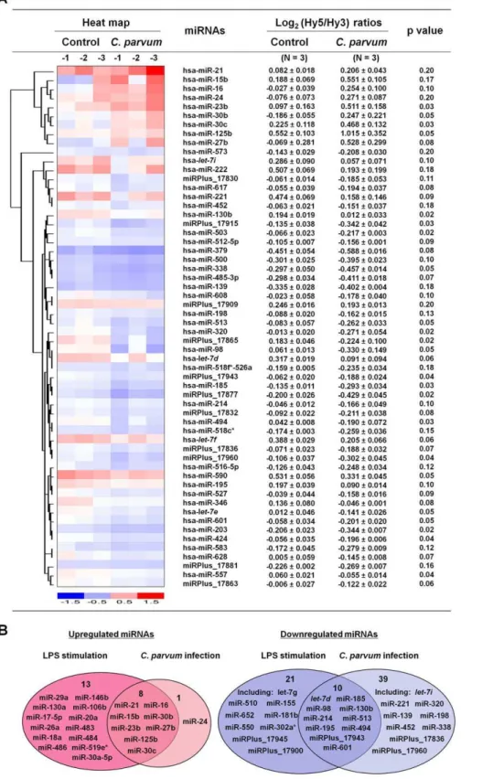 Figure 1. Expression profiling of mature miRNAs in cholangiocytes following C. parvum infection and LPS stimulation