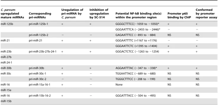 Table 2. Promoter binding of NF-kB p65 subunit in C. parvum-induced transactivation of miRNA genes in H69 cells.
