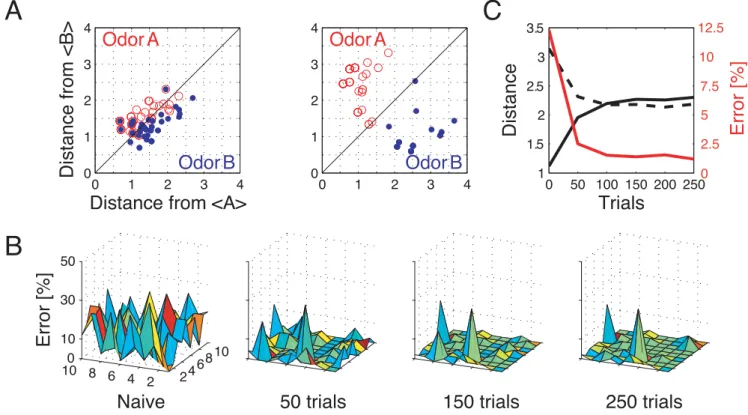 Figure 7. Discrimination of similar odors in 19-dimensional KC space. (A) Clustering of responses to two similar odors A and B (P S = 0.02) for a naive system (left panel) and after STDP-based synaptic tuning (right panel)