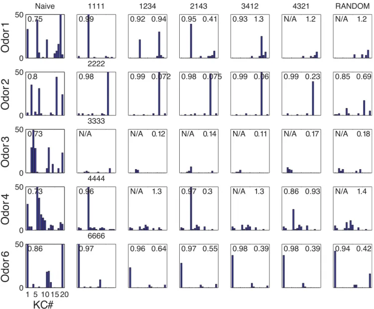 Figure 5. The persistence of olfactory representations. Columns: different response patterns of the KC population with respect to STDP-based plastic exposure to different arrangements of odors 1, 2, 3, and 4