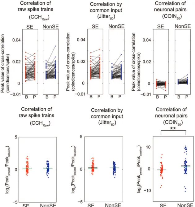 Figure 6. Changes in functional connectivity across all neuronal pairs from cross-correlation analysis