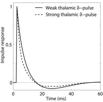 Figure 10. Thalamocortical impulse response for experiment 1.