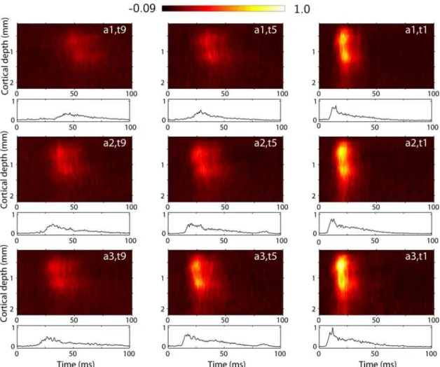 Fig. 2 shows the estimated thalamic  r x T ð Þ t 