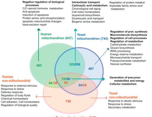 Figure 4. Venn Diagram Representing the Overlap of the Three Considered Proteomes