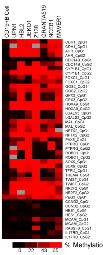 Figure 1. Heat map showing the percentage of methylation for the 45 amplicons analyzed
