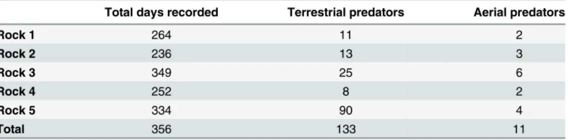 Table 1. Frequency of visits by terrestrial and aerial predators to lizard rocks.