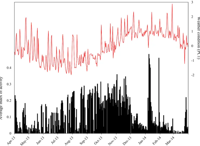 Fig 2. Activity pattern of Ouroborus cataphractus. A graph of the average index of activity plotted against weather condition (represented by PC1) illustrates that the activity levels of O