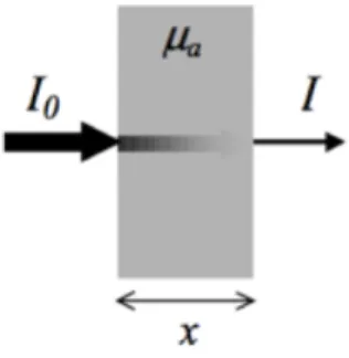 Figure 2.1: Attenuation of light through a non-scattering medium.