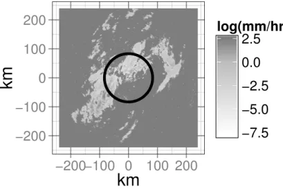 Fig. 2. A log-transformed rainfall field, together with the radius of reliable observations.