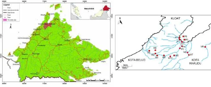 Figure 1. Location of sampling points in Kota Marudu, Sabah