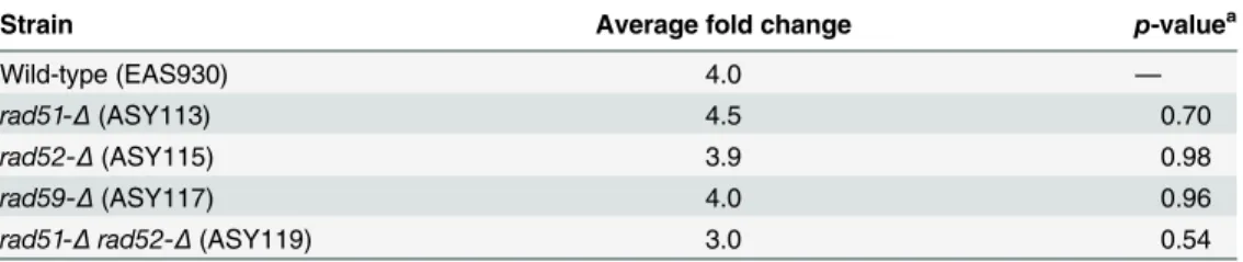 Table 2. Average fold change of amount of 3 ’ ssDNA at KpnI cleavage site after induction.