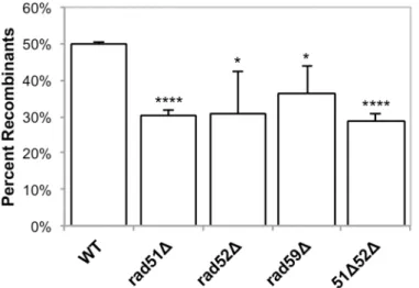 Table 1. Average level of cutting after 16 hours of mtLSKpnI-int ts induction.