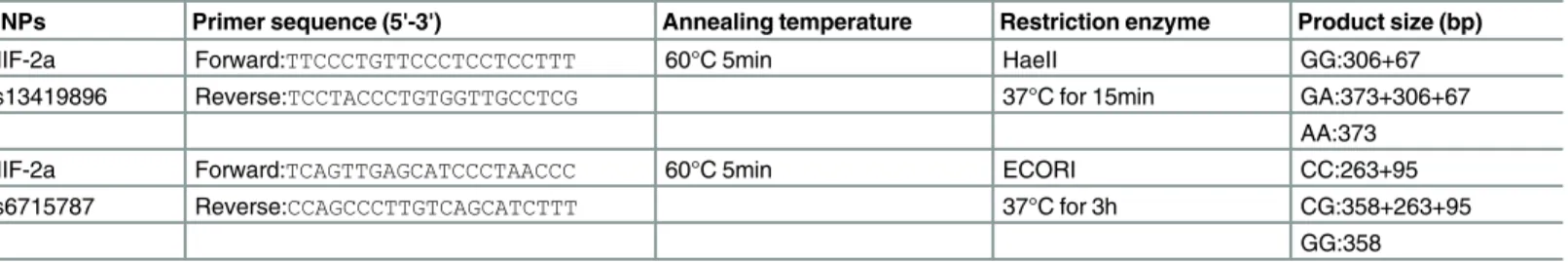 Table 1. Primer sequence and the reaction condition for genotyping HIF-2a polymorphisms.