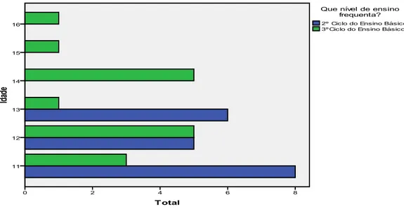 Figura 9: Distribuição dos participantes, segundo a idade, pelos ciclos de estudo 