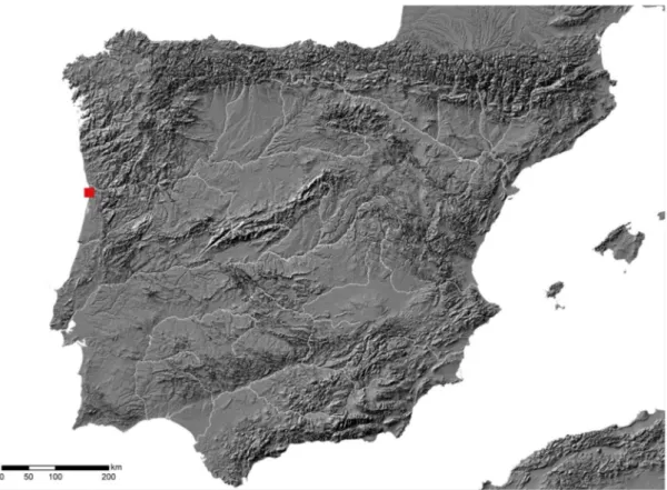 Fig.  1.  Location  of  the  Palaeolithic  site  of  Cerro  in  the  Iberian  Peninsula