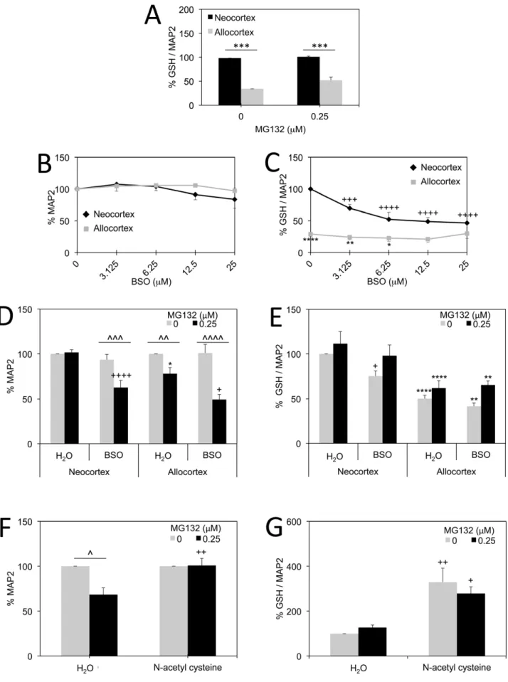 Figure 5. Role of glutathione in protection of neo- and allocortex against proteasome inhibition