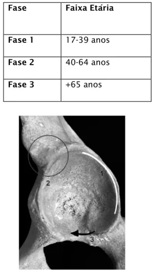 Tabela 2- A fase em relação à faixa etária a que pertence (adaptado de Calce 2012; 