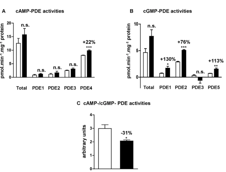 Figure 2. Effects of angiotensin II treatment on left cardiac ventricle PDE specific activities