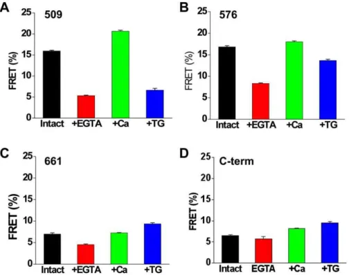 Figure 7. Dynamic FRET changes of SERCA constructs expressed in AAV-293 cells. Data represent control intact cells (black), cells permeabilized with ionophore with 5 mM EGTA (red) or 2 mM Ca (green) in the extracellular solution, or intact cells treated wi