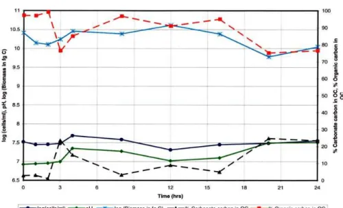 Fig. 3. Graphical representation of 24-h carbonate precipitation experiment using Ar- Ar-chaeoglobus fulgidus cells