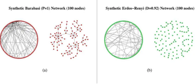 Figure 20. Sample network topologies: (a) Barabasi Network with 100 nodes (power-law exponent P equal to 1); (b) Erdo¨s-Re´nyi network, 100 nodes and average degree (D) egual to 0.92.