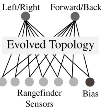 Fig 8. The evolved ANN controlling the maze robot. The initial topology is a fully connected network with no hidden nodes