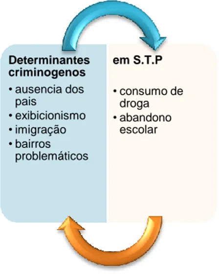 Ilustração 4. Determinantes criminógenos para a delinquência juvenil em São Tomé e Príncipe 170