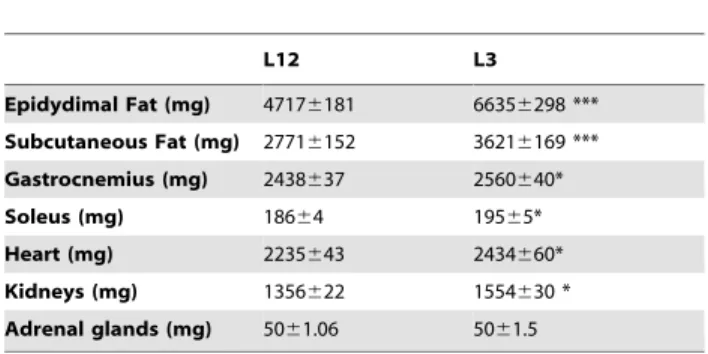 Table 1. Epidydimal Fat, subcutaneous fat, gastrocnemius, heart, kidneys and adrenal weights from control (L12) and overfed (L3) rats