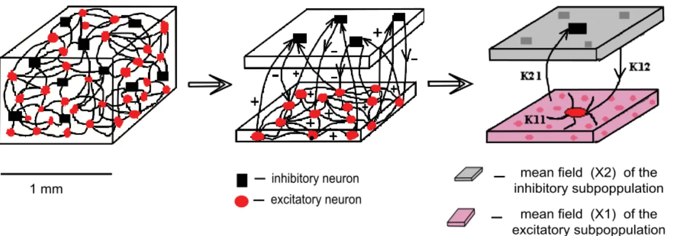Figure 14. Schematic of the network architecture. In red we represent the excitatory neurons and in black the inhibitory ones
