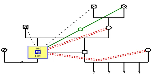 Figura 1 - Genograma de HD 
