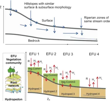 Figure 2. Scheme of lateral topological units and embedded el- el-ementary functional units controlling rainfall runoff response and land atmosphere energy exchange.