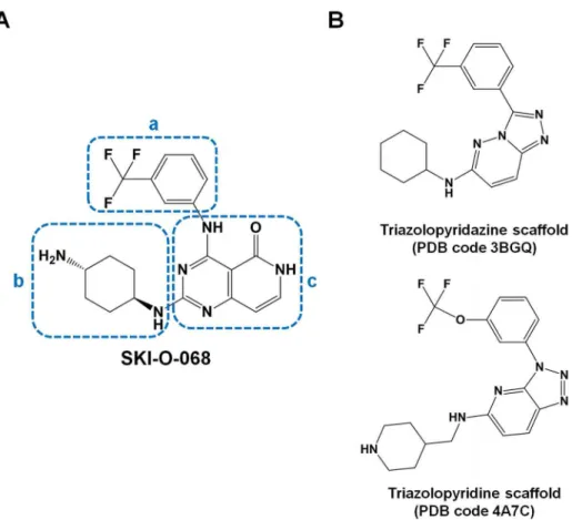 Figure 1. Structures for the ligands analyzed in this study. (A) Chemical structure of SKI-O-068