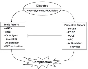 Fig. 1.  Diabetes induces an imbalance between toxic and pro- pro-tective factors to cause complications